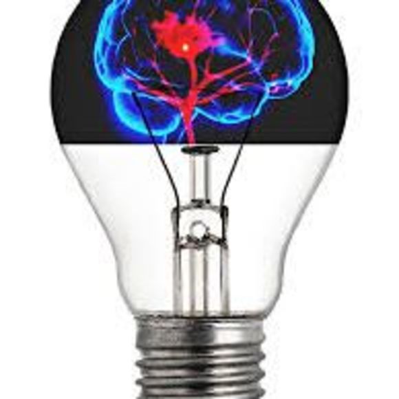 Meet your Posher, Rashad - Picture 1 of 1